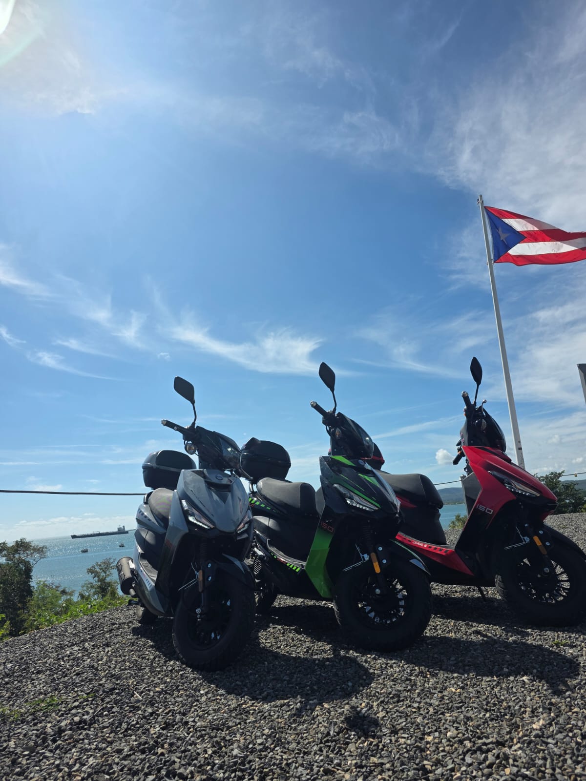 Palm Route scooter